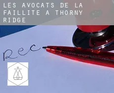 Les avocats de la faillite à  Thorny Ridge