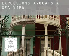 Expulsions avocats à  Sea View