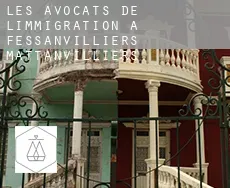 Les avocats de l'immigration à  Fessanvilliers-Mattanvilliers