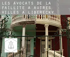 Les avocats de la faillite à  Autres Villes à Liberecky kraj