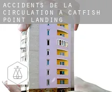 Accidents de la circulation à  Catfish Point Landing