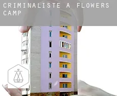 Criminaliste à  Flowers Camp