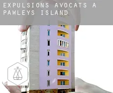 Expulsions avocats à  Pawleys Island