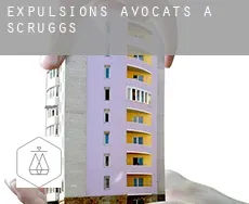 Expulsions avocats à  Scruggs