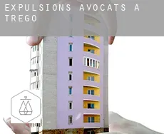 Expulsions avocats à  Trego