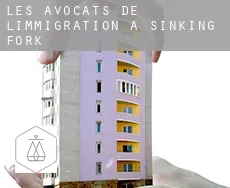 Les avocats de l'immigration à  Sinking Fork