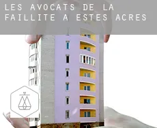 Les avocats de la faillite à  Estes Acres