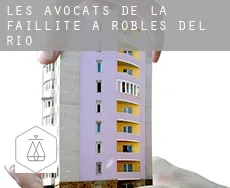 Les avocats de la faillite à  Robles Del Rio