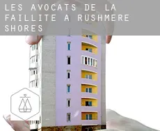 Les avocats de la faillite à Rushmere Shores