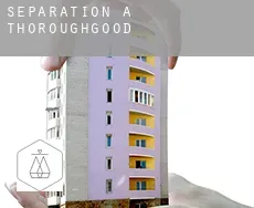 Séparation à  Thoroughgood