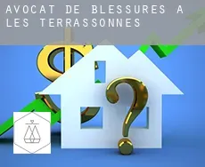 Avocat de blessures à  Les Terrassonnes