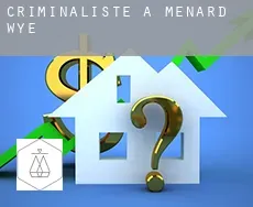 Criminaliste à  Menard Wye