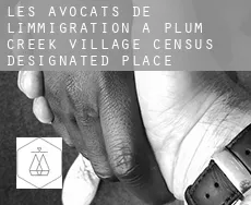 Les avocats de l'immigration à Plum Creek Village