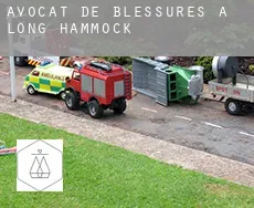 Avocat de blessures à  Long Hammock
