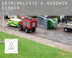 Criminaliste à  Goodwin Corner