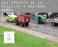 Les avocats de la faillite à  Waltdon Farms