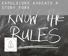 Expulsions avocats à  Stony Fork