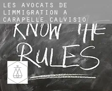 Les avocats de l'immigration à  Carapelle Calvisio