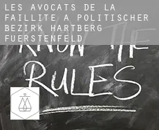 Les avocats de la faillite à Politischer Bezirk Hartberg-Fuerstenfeld