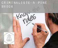 Criminaliste à  Pine Brook