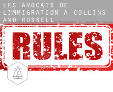 Les avocats de l'immigration à  Collins and Russell Development