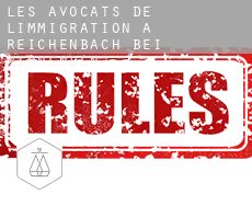 Les avocats de l'immigration à Reichenbach bei Winnenden