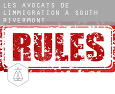 Les avocats de l'immigration à  South Rivermont