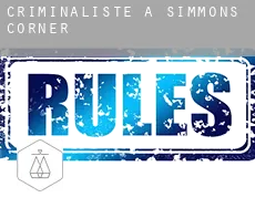 Criminaliste à  Simmons Corner