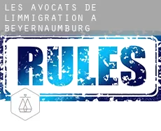Les avocats de l'immigration à  Beyernaumburg
