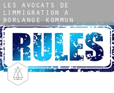 Les avocats de l'immigration à  Borlänge Kommun