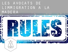 Les avocats de l'immigration à La Madera
