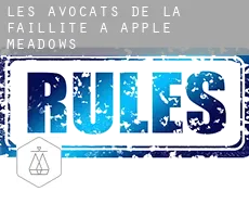 Les avocats de la faillite à  Apple Meadows