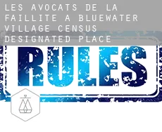 Les avocats de la faillite à  Bluewater Village