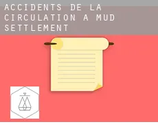 Accidents de la circulation à Mud Settlement