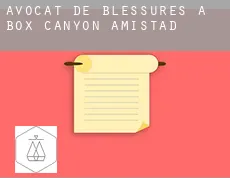 Avocat de blessures à  Box Canyon-Amistad