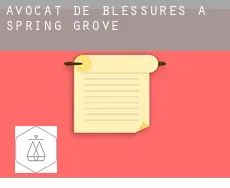 Avocat de blessures à  Spring Grove
