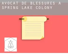 Avocat de blessures à  Spring Lake Colony