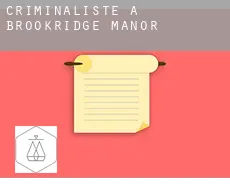 Criminaliste à  Brookridge Manor