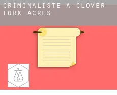 Criminaliste à  Clover Fork Acres