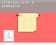Criminaliste à Dammbach