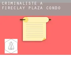 Criminaliste à Fireclay Plaza Condo