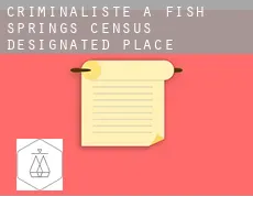 Criminaliste à  Fish Springs
