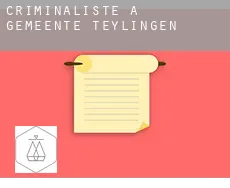 Criminaliste à  Gemeente Teylingen