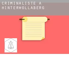 Criminaliste à Hinterwollaberg