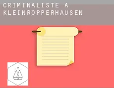 Criminaliste à Kleinropperhausen