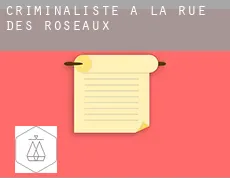 Criminaliste à La Rue des Roseaux
