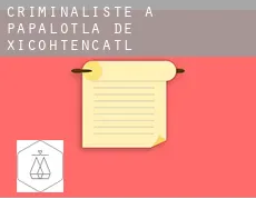 Criminaliste à Papalotla de Xicohtencatl
