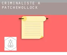Criminaliste à  Patchewollock