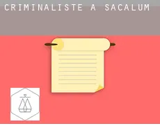 Criminaliste à  Sacalum