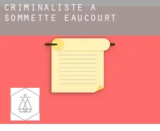 Criminaliste à  Sommette-Eaucourt
